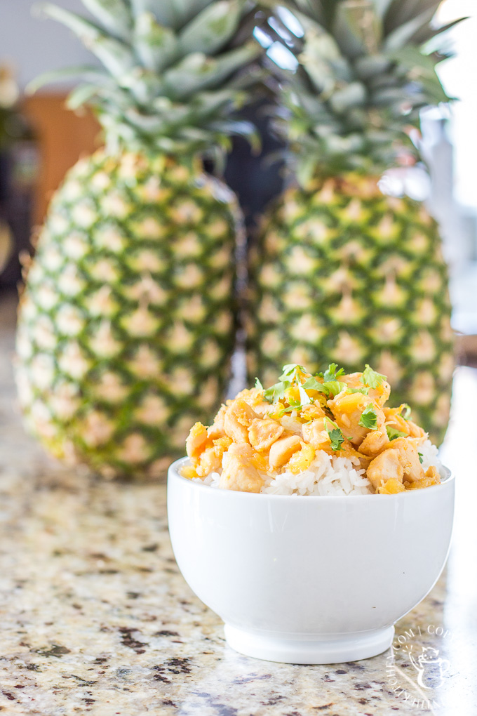 This ultra-simple, super-fast recipe for Polynesian Chicken is one of our busy week night go-to favorites! Five ingredients, 30 minutes, and so much flavor!