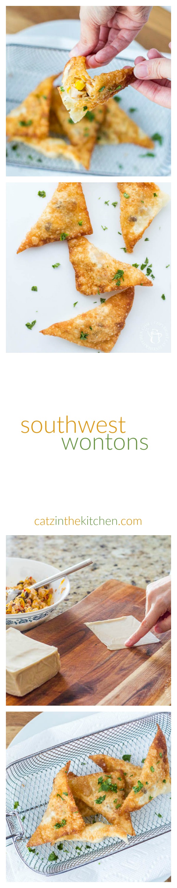 Southwest Wontons | Catz in the Kitchen | catzinthekitchen.com | #wontons #southwest #recipe