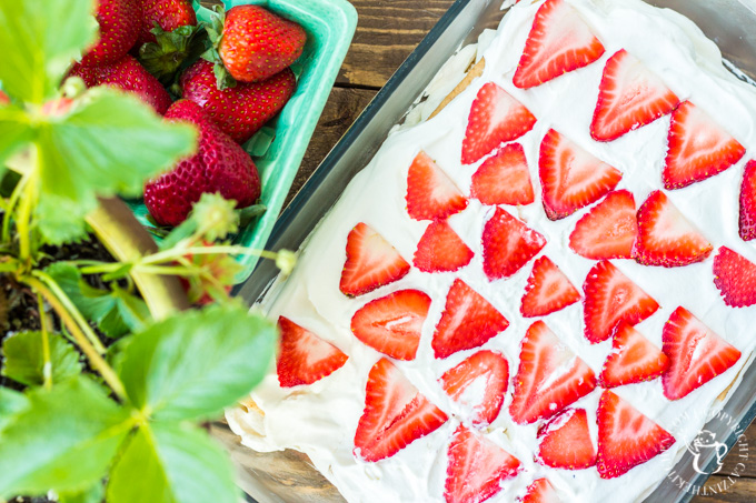 Need to whip up a fresh, yummy summer dessert in a hurry? This strawberry icebox cake is tasty, creamy, pretty, and ready in 20 minutes!