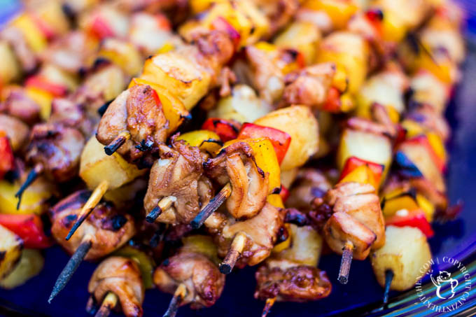 BBQ Chicken Skewers-5