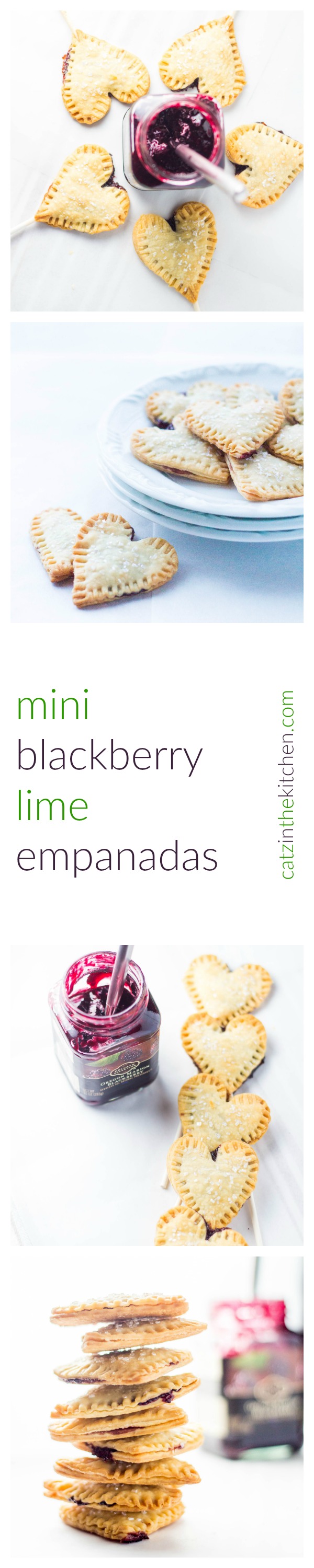 Mini Blackberry Lime Empanadas | Catz in the Kitchen | catzinthekitchen.com | #berries #jam #oregon #desserts #empanadas