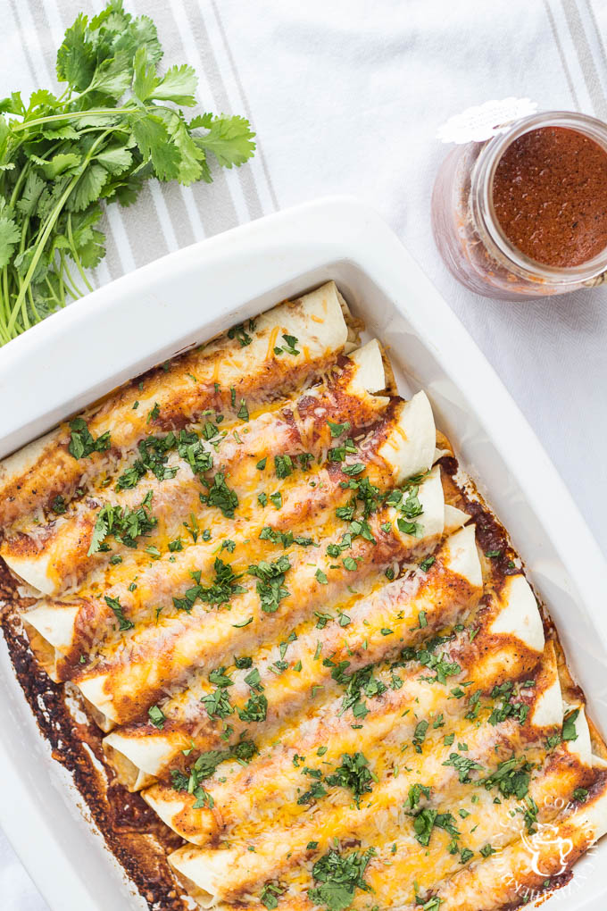 Cheese Enchiladas Catz in the Kitchen