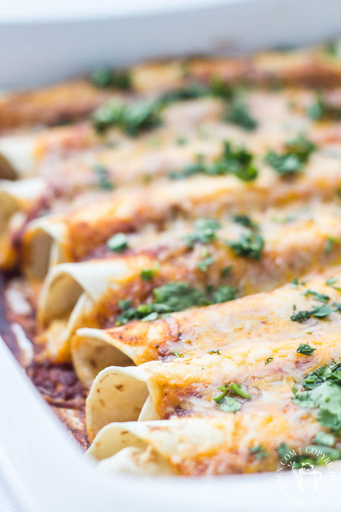 What's better than an easy, wonderful recipe for cheese enchiladas? Mmm...that would be...nothing. This kid-pleasing meal can be ready in 30 minutes!