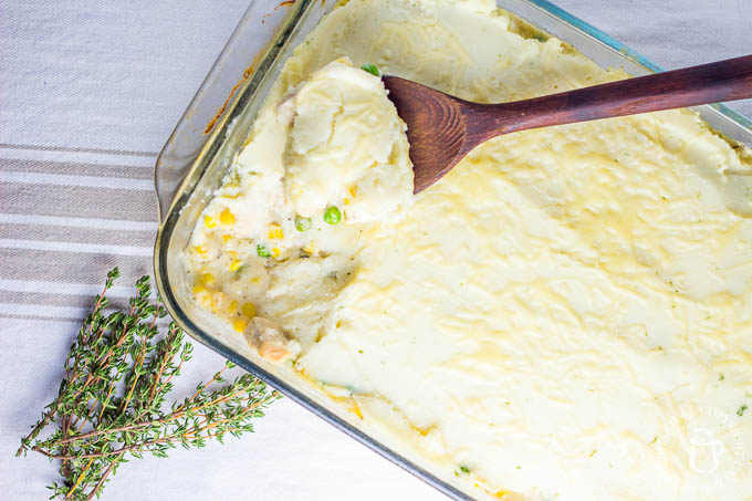 This Chicken Shepherd's Pie may look like a pan full of mashed potatoes, but it is flavorful and zesty, filled with the flavors of Swiss cheese, sage, and thyme! 