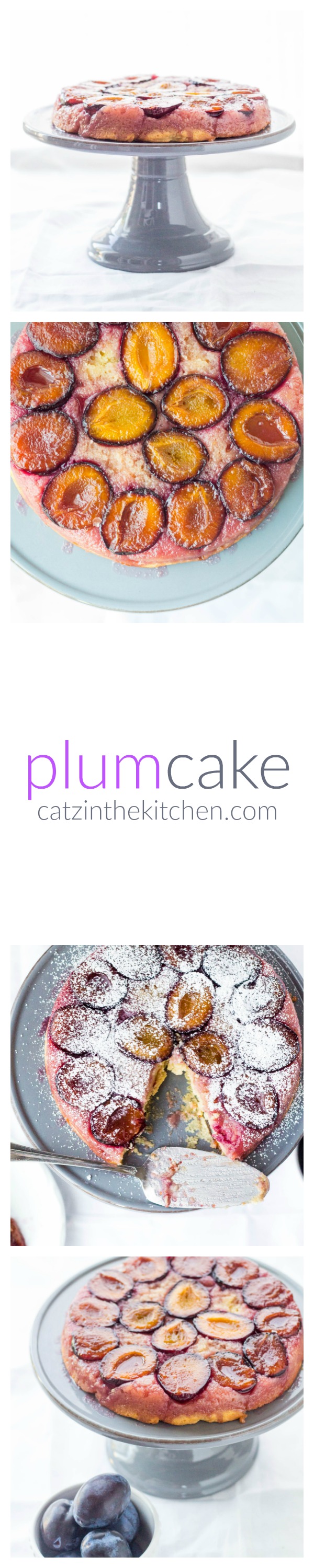 Plum Cake Long PIN