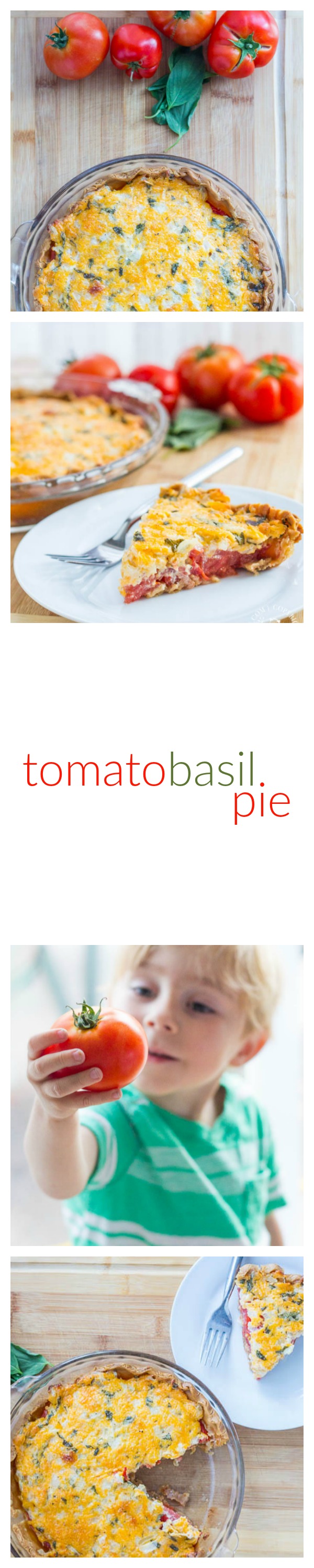 Fresh, a little rustic, and oh-so-tasty, this Tomato Basil Pie recipe is just the dish to showcase those tomatoes bursting out of your garden this fall!