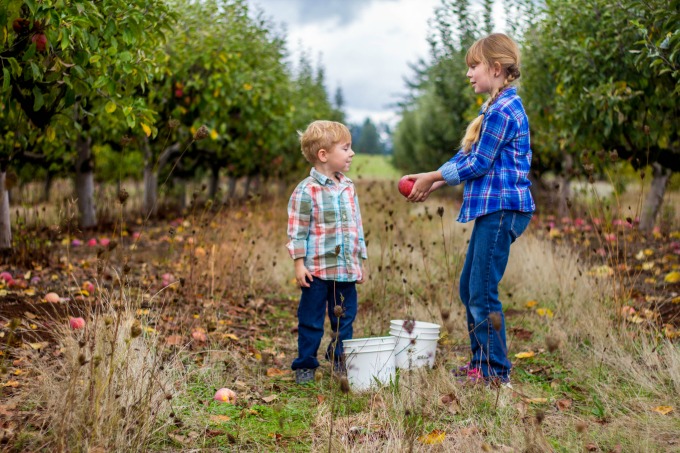 apple-picking