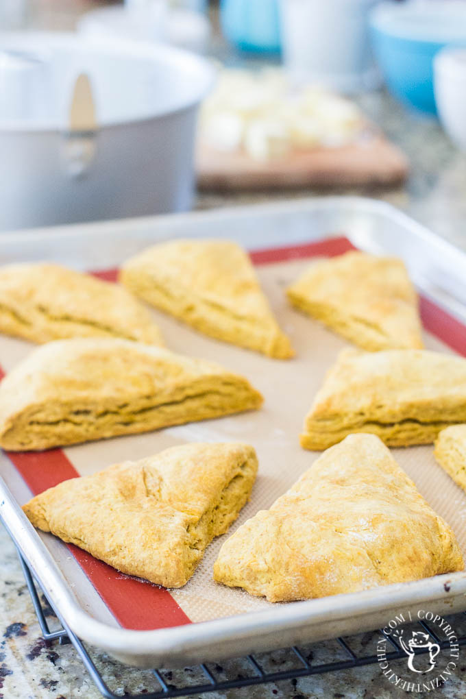 Salty and sweet, with rich autumn spices, these Pumpkin Spice Scones are easy to make and drizzled with a yummy salted caramel glaze!