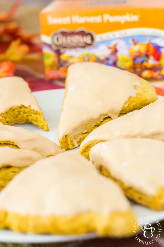 Salty and sweet, with rich autumn spices, these Pumpkin Spice Scones are easy to make and drizzled with a yummy salted caramel glaze!