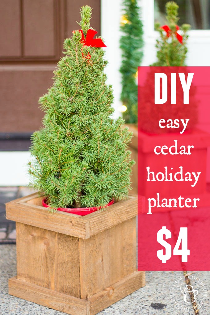 Festive touches for the holidays don't get much easier or cheaper than these cute little trees in this $4 DIY cedar planter!