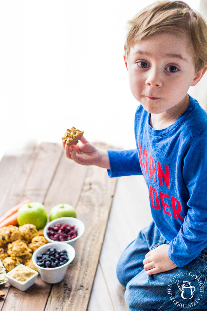 Carrots, apples, oats, blueberries, cranberries, walnuts, cinnamon and a bit of brown sugar make these healthy cookies amazing & safe for indulging!