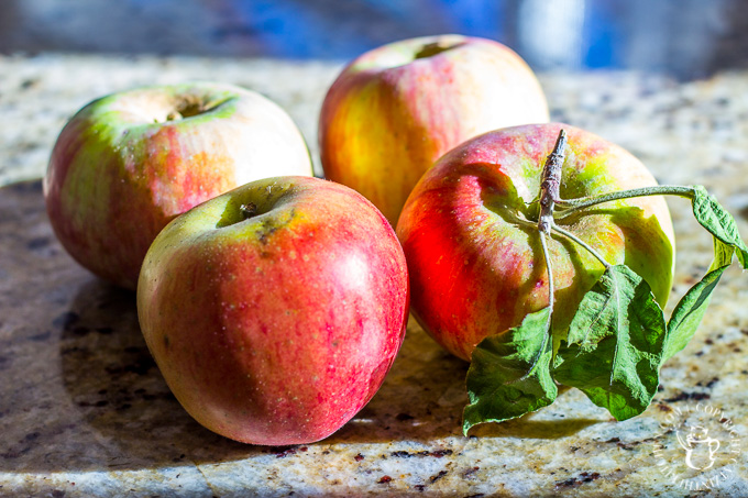 This recipe for apple tartlets couldn't be much easier. A sheet of puff pastry, some apples, and a few pantry ingredients, and you're ready to go! 