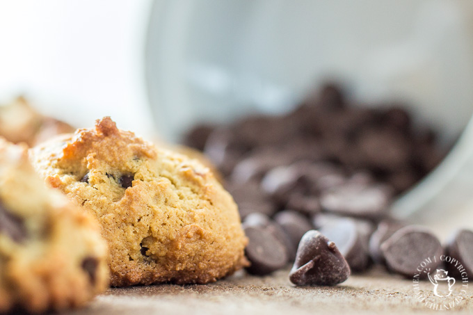 Whether you're actually on a paleo diet or not, these paleo chocolate chip cookies should make their way onto your dessert menu! They're just as tasty as the original, but with natural sugars and "healthy" fats, you can feel just a bit better about eating them...