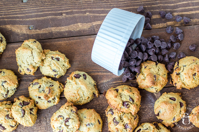 Whether you're actually on a paleo diet or not, these paleo chocolate chip cookies should make their way onto your dessert menu! They're just as tasty as the original, but with natural sugars and "healthy" fats, you can feel just a bit better about eating them...