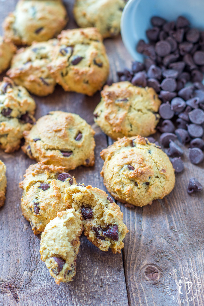 Whether you're actually on a paleo diet or not, these paleo chocolate chip cookies should make their way onto your dessert menu! They're just as tasty as the original, but with natural sugars and "healthy" fats, you can feel just a bit better about eating them...