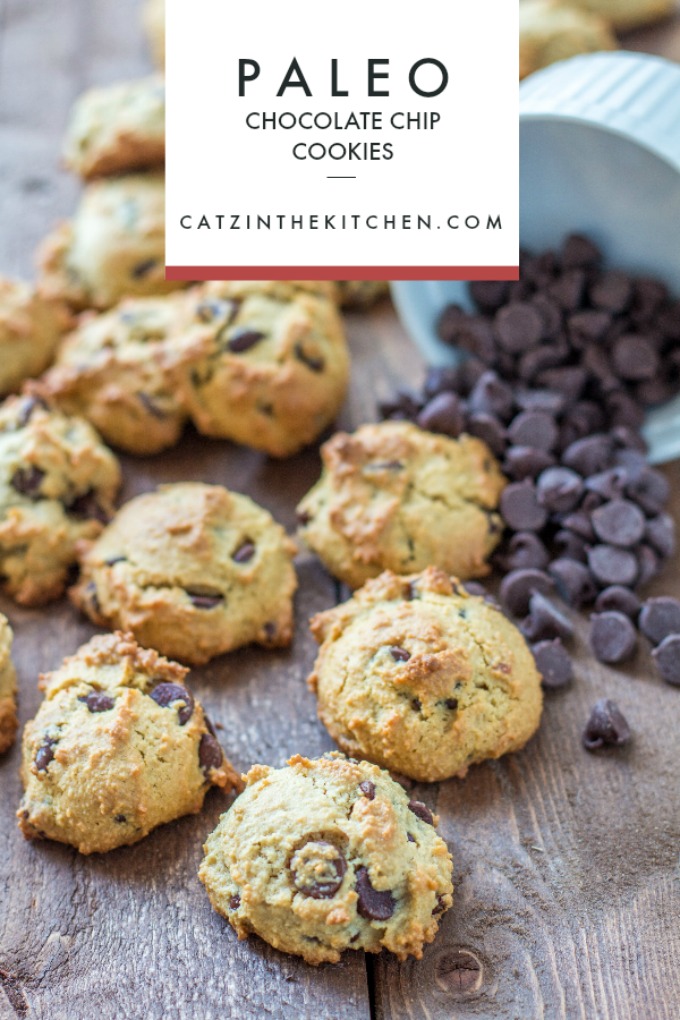 Whether you're actually on a paleo diet or not, these paleo chocolate chip cookies should make their way onto your dessert menu! They're just as tasty as the original, but with natural sugars and "healthy" fats, you can feel just a bit better about eating them...