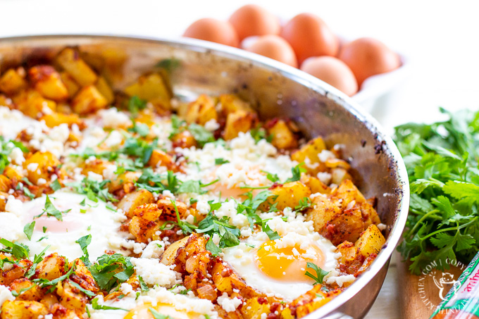 Brunch must be the best meal of the day, right? It certainly will be if you serve this yummy breakfast chorizo hash! Not a chorizo fan? Sub in some sausage!