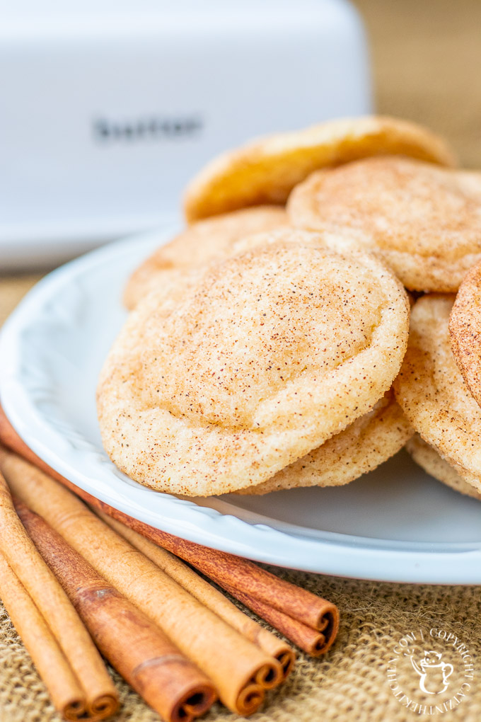 Our whole family has declared this recipe the best snickerdoodle cookies ever...or, at least, the best ones to ever enter our humble abode!